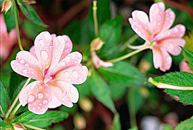 《战神：诸神黄昏》预购开启 宣传短片公开